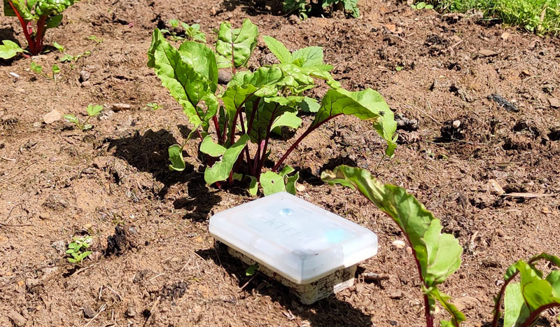 Tektelic präsentiert den Agriculture Sensor Surface Mount mit Bodenfeuchte-, Temperatur- und Lichtsensoren für den Einsatz in der Landwirtschaft